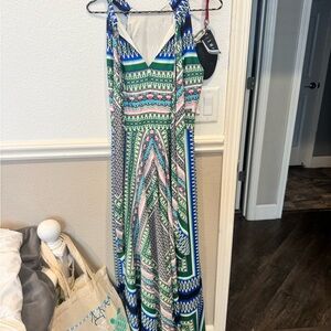Elizabeth and James Blue, Green & Pink Printed Maxi Dress